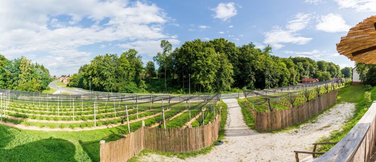 Apartma Zemljanka Ljutomer Exteriör bild